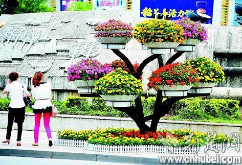 宜昌市夷陵区街头的立体式绿化盆景