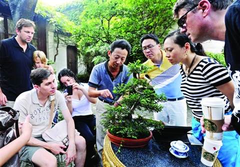 苏州洋学生学盆景 图片