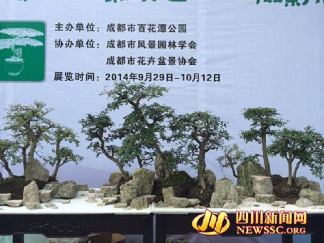 成都市第二十届盆景展将在百花潭公园举行