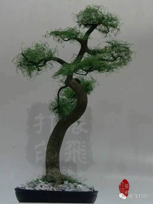 3D打印盆景 欣赏中国传统文化的艺术美