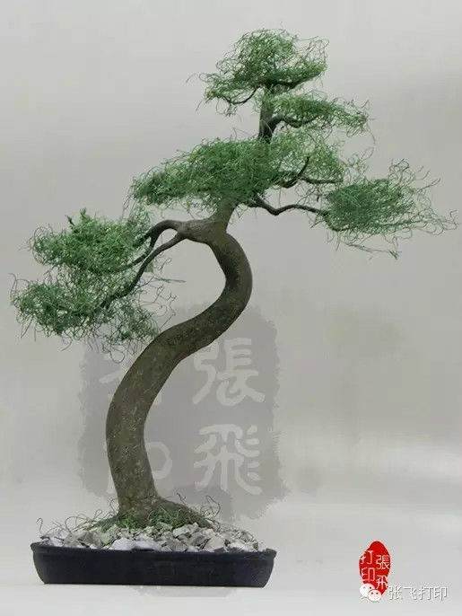 3D打印盆景 欣赏中国传统文化的艺术美