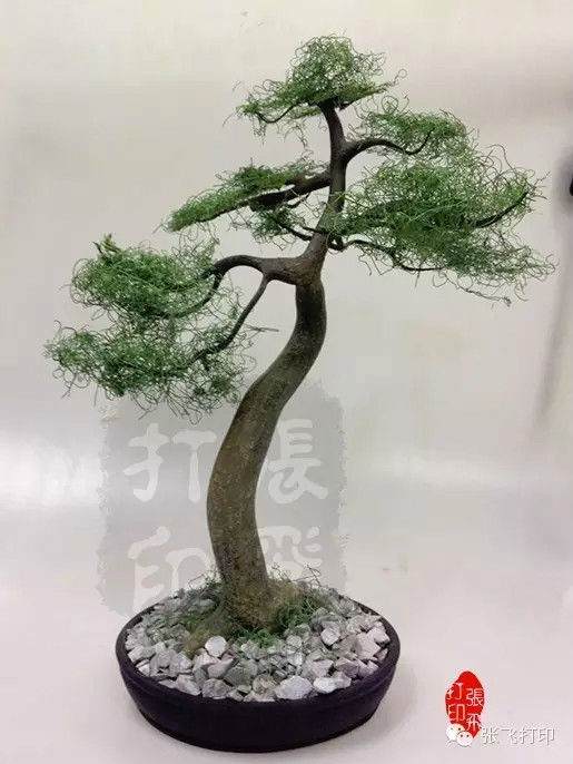 3D打印盆景 欣赏中国传统文化的艺术美