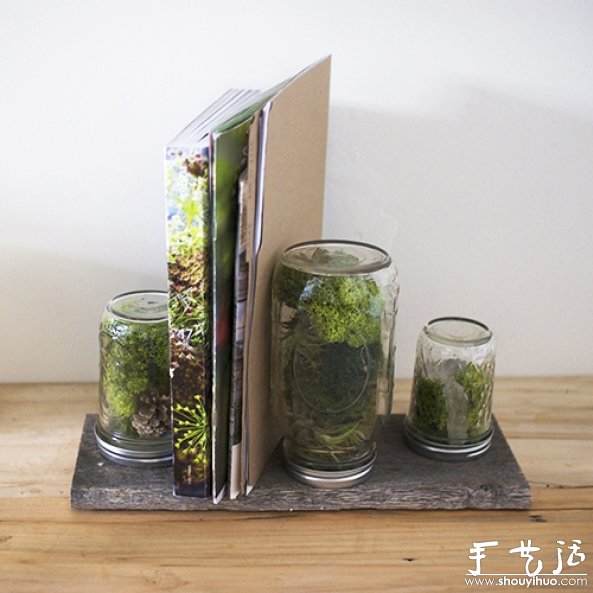 玻璃瓶DIY植物盆景的教程 -  www.shouyihuo.com