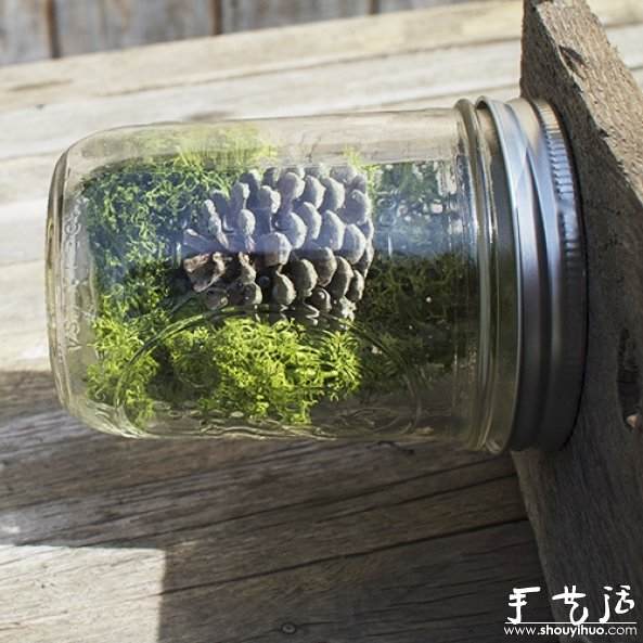 玻璃瓶DIY植物盆景的教程 -  www.shouyihuo.com