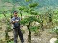 重庆石柱县中益乡返乡民工建6亩花木盆景苗圃