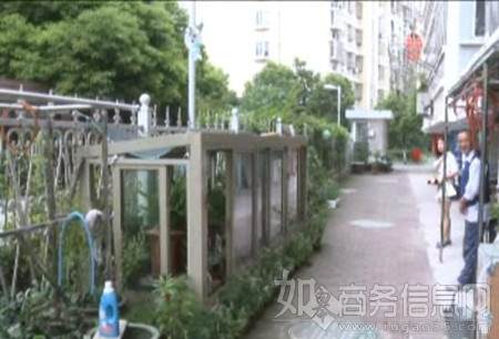 盆景被偷十几次 江苏南通市民遭遇采花大盗