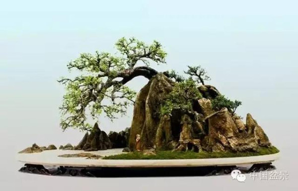 游走在山水树石间的盆景艺术大师冯连生