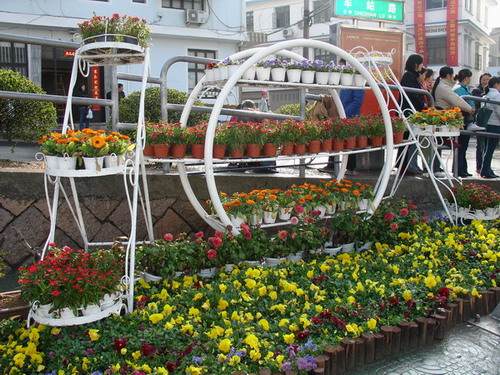 温州举办春之韵花卉盆景展览会