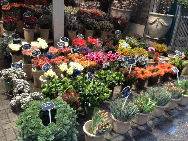 武汉的花卉市场具体地址是哪？