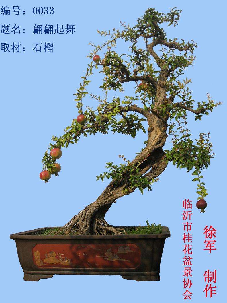 中国古代盆景盆子鉴赏——嘉庆篇