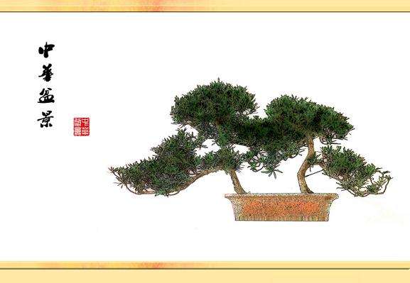 2013国际盆景大会在扬州召开 传承文化亲近自然