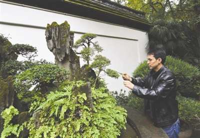 四川国际交流中心揭牌仪式暨首届蜀韵草堂杯盆景艺术展