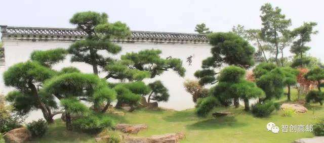 扬州市园林与盆景艺术家协会高邮分会成立大会