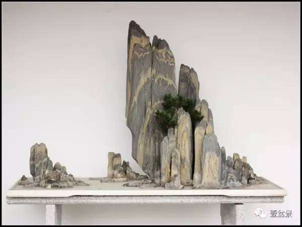 海母石点缀盆景方法