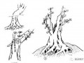 图解 树桩盆景怎么造型之蓄干方法