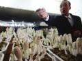湘潭老板将蘑菇摆成盆景 1亩地抵过去4亩