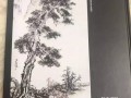 《王恒亮盆景国画艺术》由文联出版社出版 本书共200页