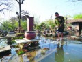 安徽六安盆景园下水口被堵 水淹致损失百万