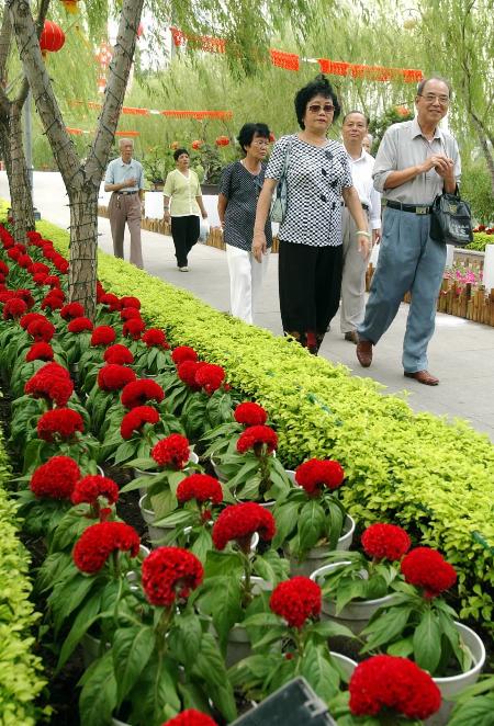 图文：福建举办花卉盆景博览会