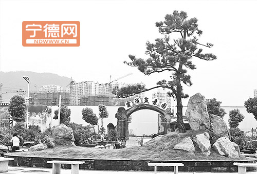 福建霞浦县投入90多万元对盆景生态园进行提升改造