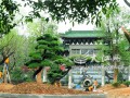 南昌城区首个盆景园七月建成「图」