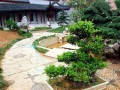 百名海峡两岸专家聚会福建漳州研讨花木盆景艺术