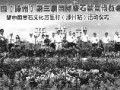 中国(滕州)第三届国际奇石盆景博览会开幕