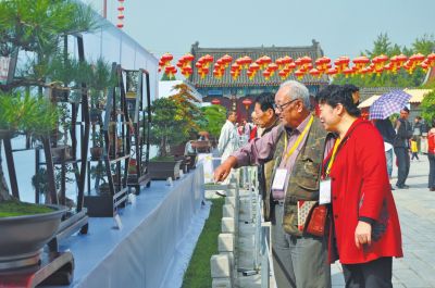 河南：2014年中国（开封）盆景邀请展邀你来看盆景