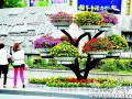 宜昌市立体式绿化盆景获市民赞赏 图片