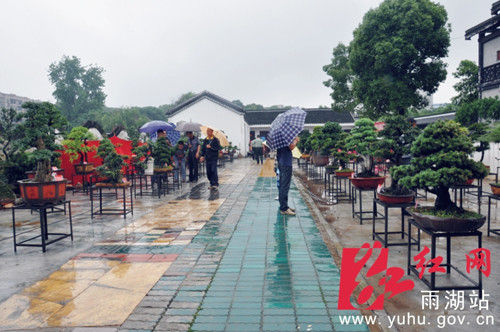 冒雨参观的市民