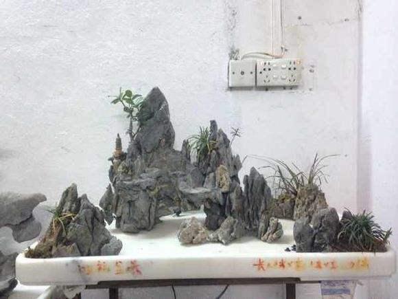 《英石假山盆景传统工艺》列入“广东省非物质文化遗产”