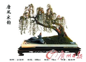 广州国际盆景邀请展今起在中山纪念堂举行