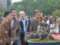 2月27日粤北韶关首届盆景艺术迎春展开幕