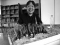 粽子做成桂林山水盆景 图片