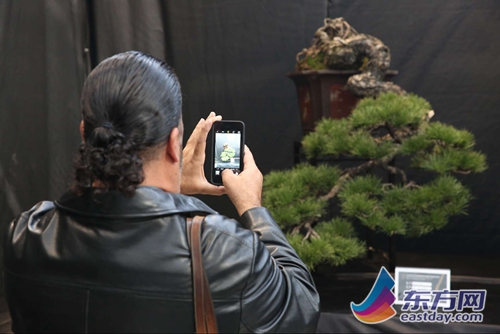 2016中国盆景无国界大会7日开幕 70位盆景艺术家同台表演