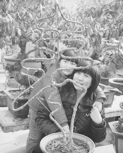 一对母女正在观赏寿字造型的桂花盆景