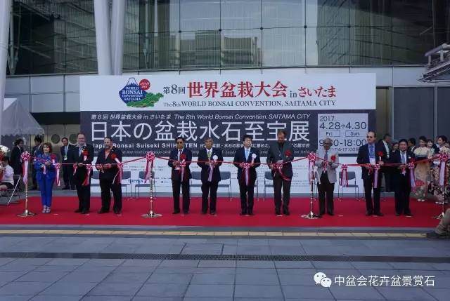 赵庆泉老师在日本第八届世界盆景大会上示范表演中国风盆景