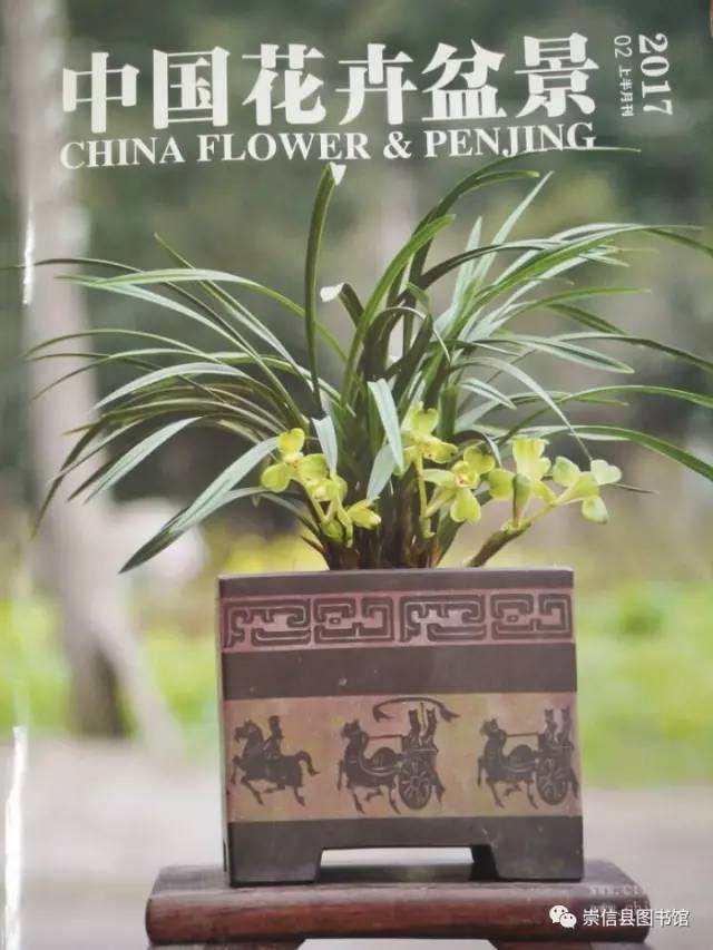 好书推荐----《中国花卉盆景》