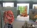 莱州市第二十七届月季花节盆景艺术展多图
