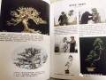 《王恒亮盆景国画艺术》由中国文联出版社出版 本书共200页