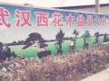 武汉西花木盆景大市场开业啦 图片