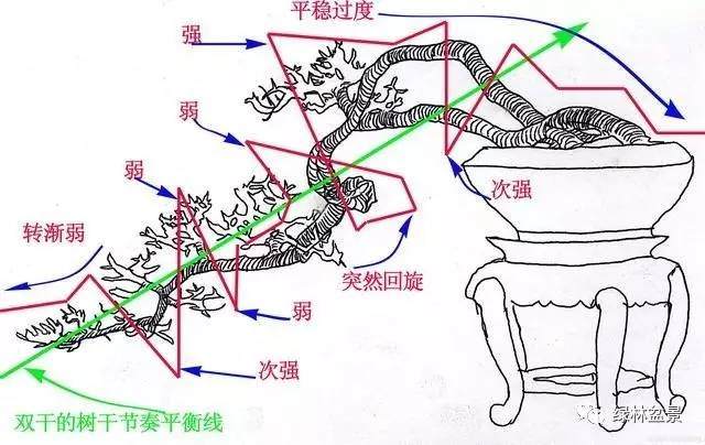中国盆景艺术以中国画为指导 讲究“气韵生动”【图】