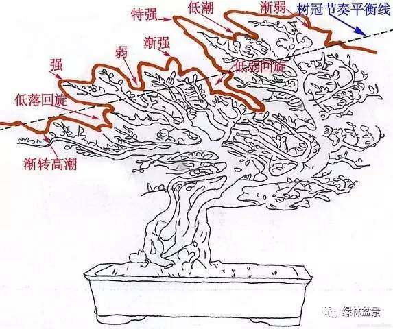 中国盆景艺术以中国画为指导 讲究“气韵生动”【图】