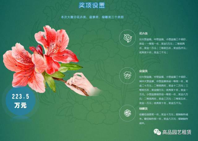 首届武汉花卉盆景设计金奖大赛 图片