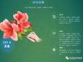 首届武汉花卉盆景设计金奖大赛「图」