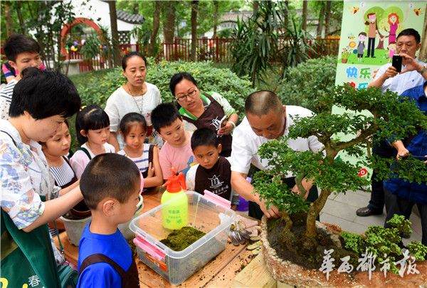 小朋友公园学做川派盆景过六一多图