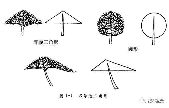 树木盆景造型三大原则【 图解】