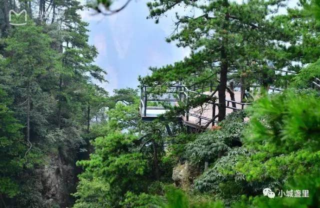 中国第一个国家森林公园，是缩小的仙境，扩大的盆景【图】