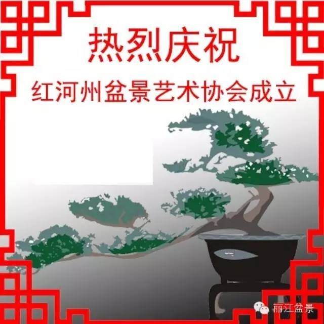 致：红河州盆景艺术协会