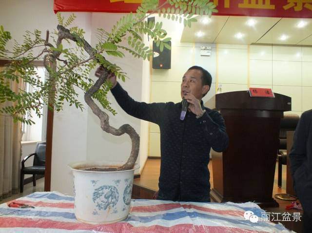 云南省红河州盆景艺术协会成立大会简报